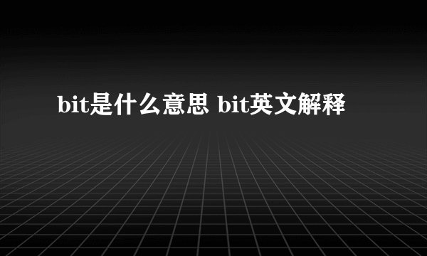 bit是什么意思 bit英文解释
