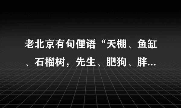 老北京有句俚语“天棚、鱼缸、石榴树，先生、肥狗、胖丫头”。这句话的详细解释