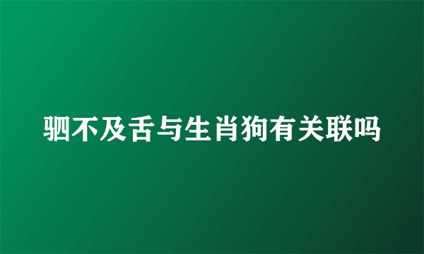 驷不及舌与生肖狗有关联吗