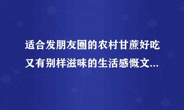 适合发朋友圈的农村甘蔗好吃又有别样滋味的生活感慨文案有哪些