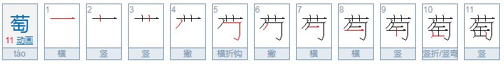 葡萄还能组什么词？