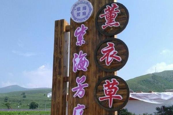 邯郸紫海芳庭熏衣草庄园门票