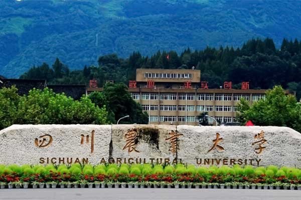 四川农业大学2023年分数线