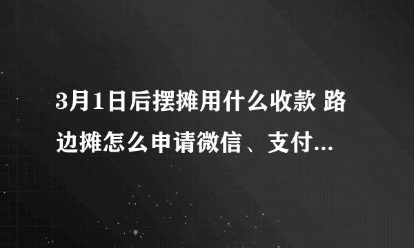 3月1日后摆摊用什么收款 路边摊怎么申请微信、支付宝商家收款码