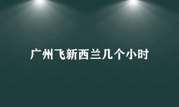 广州飞新西兰几个小时