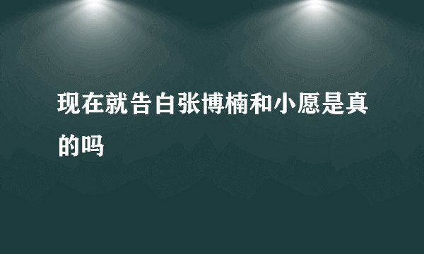 现在就告白张博楠和小愿是真的吗