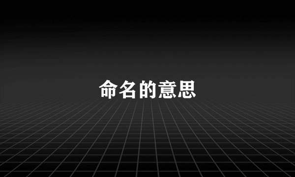 命名的意思
