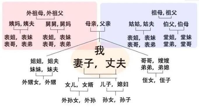 爸爸的姐姐叫什么？