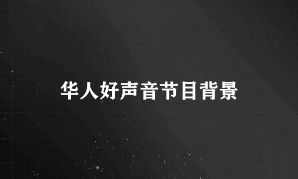 华人好声音节目背景