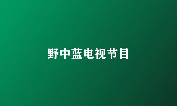 野中蓝电视节目