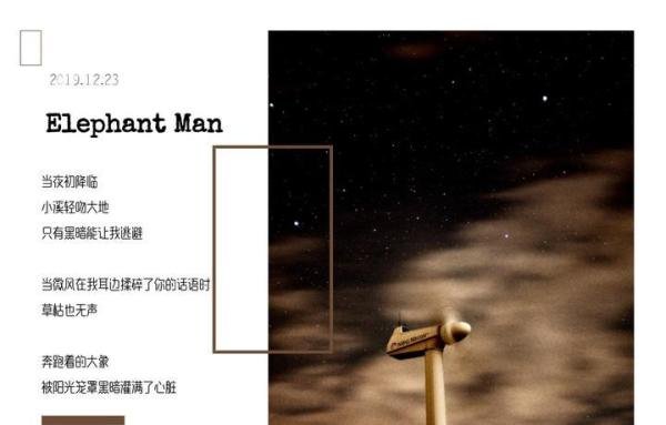 《Elephant Man》：一个长着大象面孔的人的故事