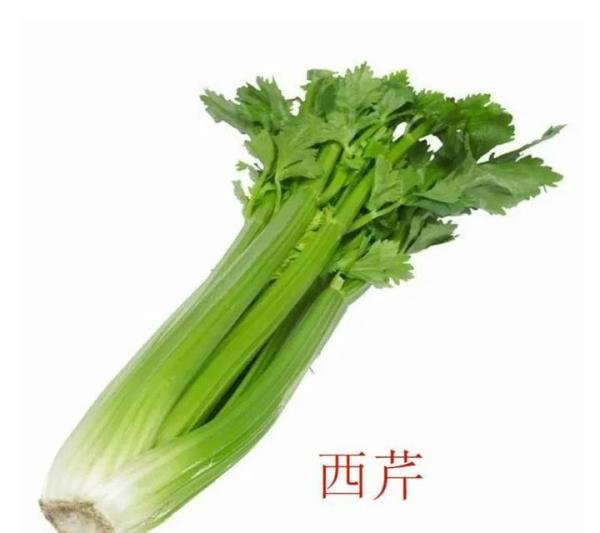 食物不咸不代表没盐,猜猜哪种蔬菜含盐量最高?