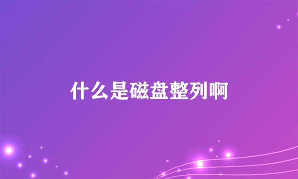 什么是磁盘整列啊