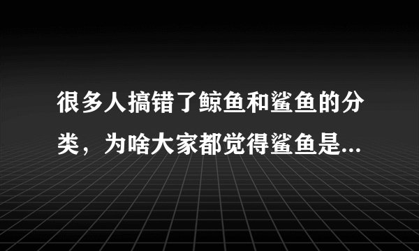 很多人搞错了鲸鱼和鲨鱼的分类，为啥大家都觉得鲨鱼是鱼而鲸鱼不是鱼