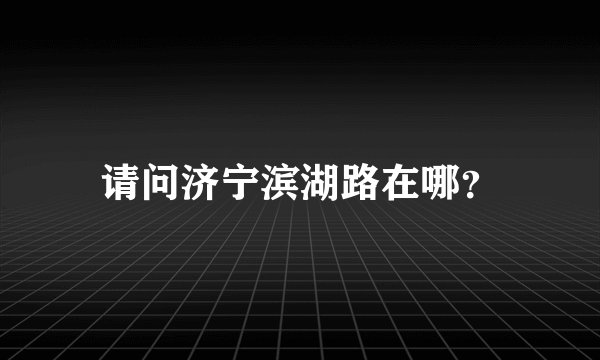 请问济宁滨湖路在哪？