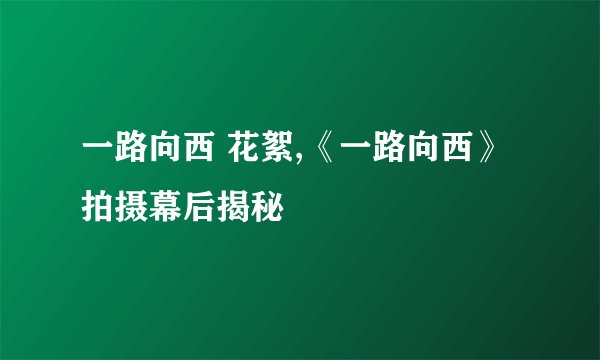 一路向西 花絮,《一路向西》拍摄幕后揭秘
