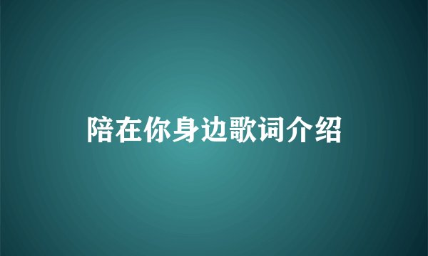 陪在你身边歌词介绍