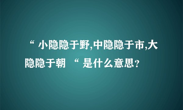 “ 小隐隐于野,中隐隐于市,大隐隐于朝 “ 是什么意思？