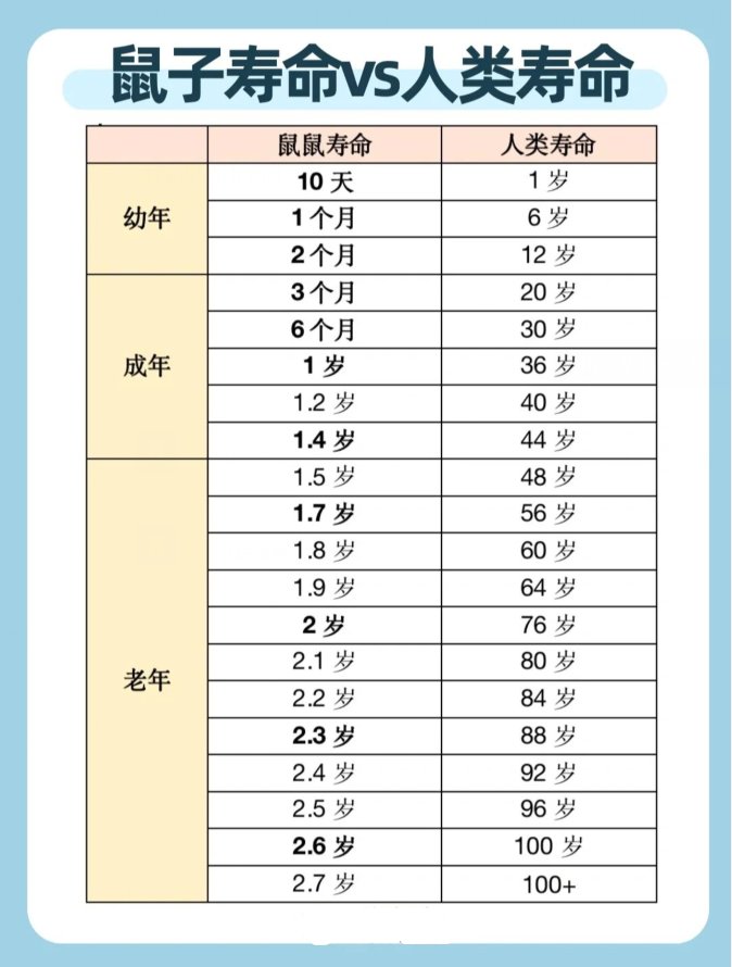 金丝熊的寿命是多少年？