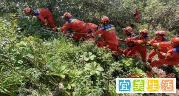 女子为拍照不听劝阻坠下60米悬崖 无人机持续搜救