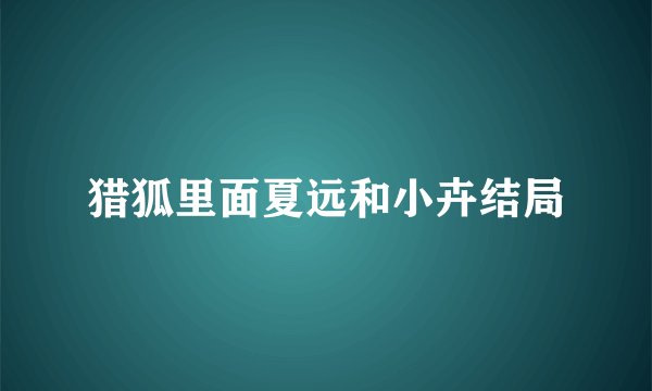 猎狐里面夏远和小卉结局