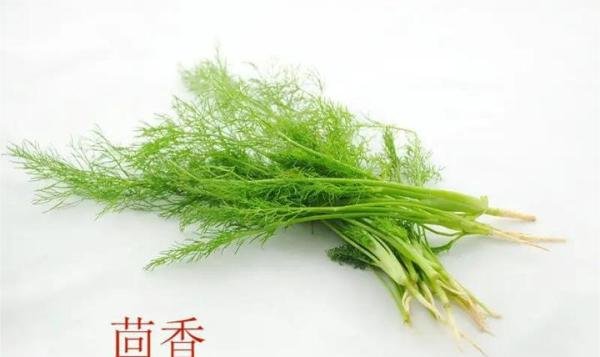 食物不咸不代表没盐,猜猜哪种蔬菜含盐量最高?
