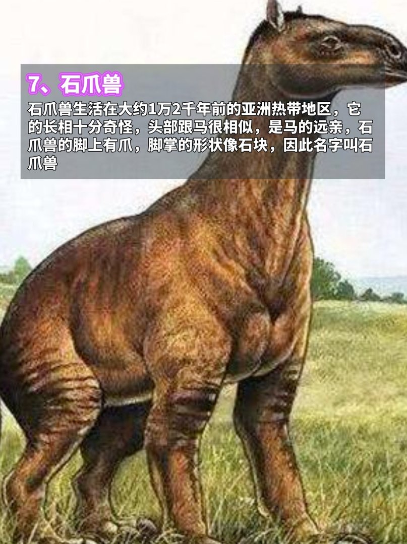 地球上最古老的7种动物,看完脊背发凉