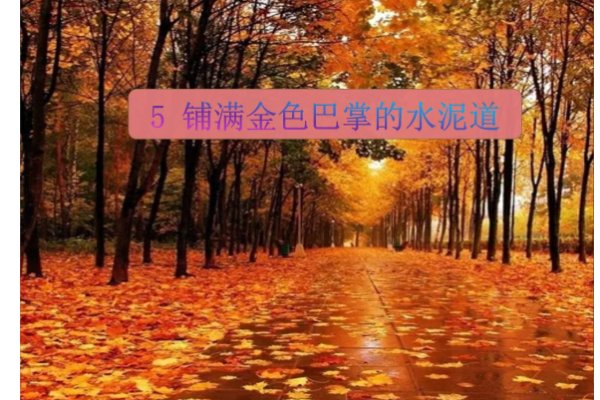 如何理解文中的“熨帖”？