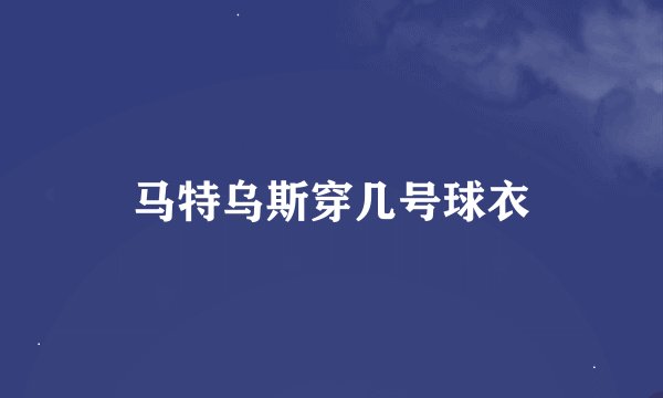 马特乌斯穿几号球衣
