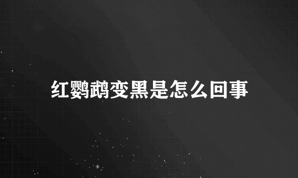 红鹦鹉变黑是怎么回事