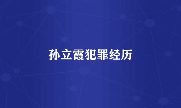 孙立霞犯罪经历