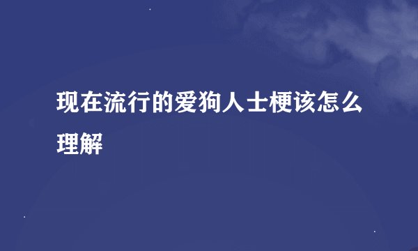 现在流行的爱狗人士梗该怎么理解
