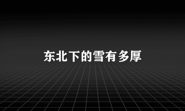 东北下的雪有多厚