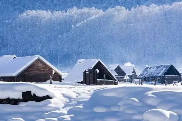 大雪纷飞怎么造句
