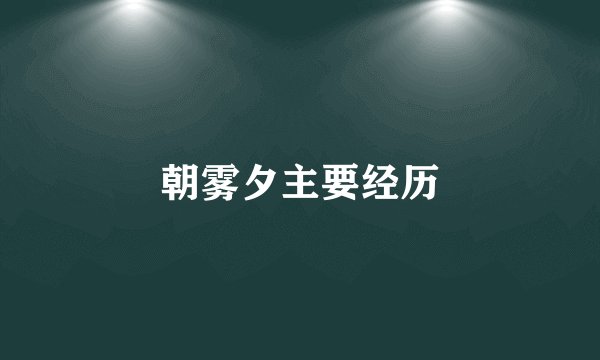 朝雾夕主要经历