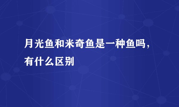月光鱼和米奇鱼是一种鱼吗，有什么区别