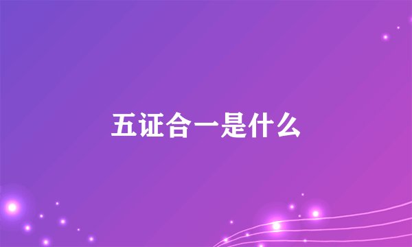 五证合一是什么