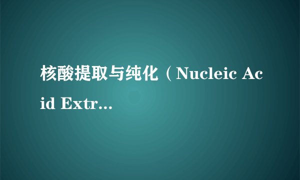 核酸提取与纯化（Nucleic Acid Extraction and Purification）