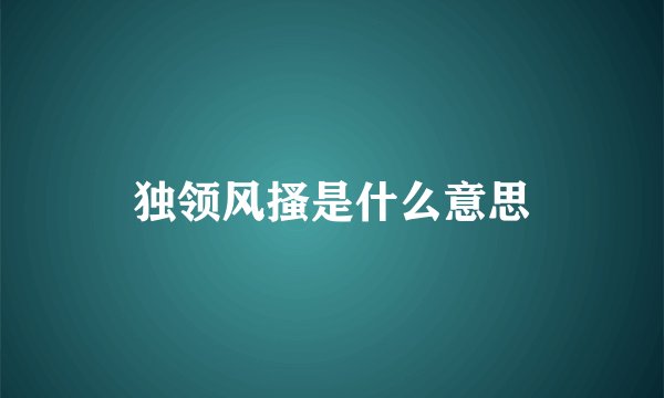 独领风搔是什么意思
