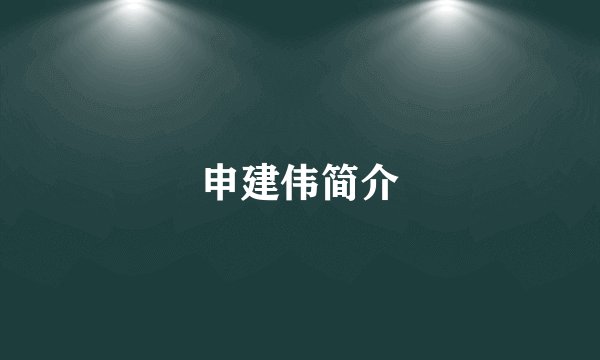 申建伟简介