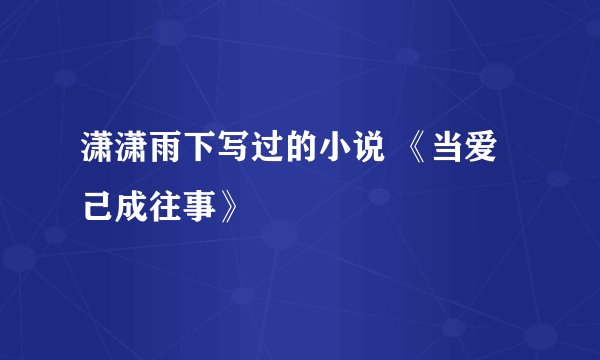 潇潇雨下写过的小说 《当爱己成往事》