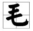 有哪些字是毛字旁的？
