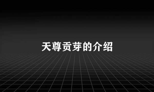天尊贡芽的介绍