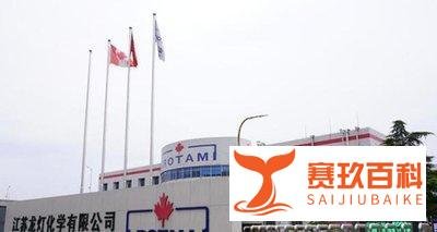 龙灯中国 作为跨国公司，有着亮眼的昨天