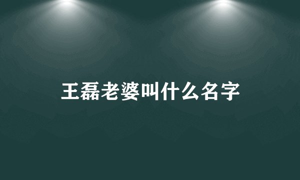 王磊老婆叫什么名字