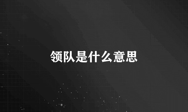 领队是什么意思