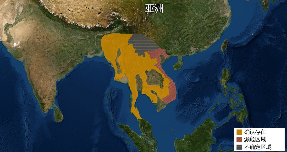 怎样区分狼獾、猪獾、狗獾等各种獾类动物?