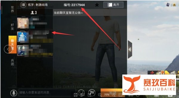 和平精英聊天室在哪里,怎么进入游戏聊天室