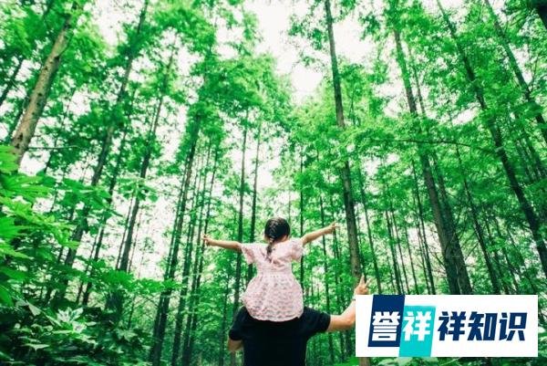 父亲聚餐把烧鸡腿全夹给女儿，疼爱孩子同时能不能考虑别家孩子？