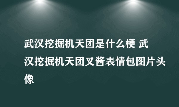 武汉挖掘机天团是什么梗 武汉挖掘机天团叉酱表情包图片头像